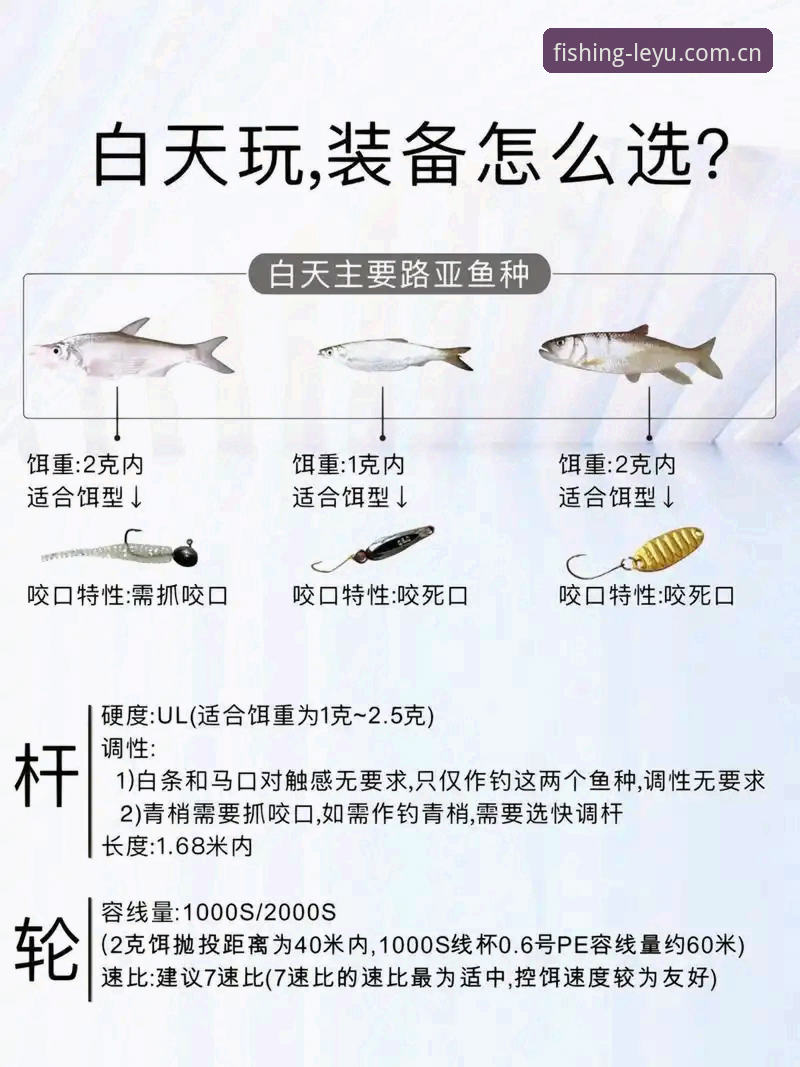 乐鱼安卓版攻略 揭秘乐鱼安卓版攻略:新手必知的5个高效技巧,让你快速上手不踩坑