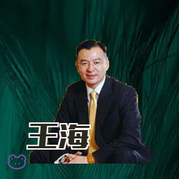 王海